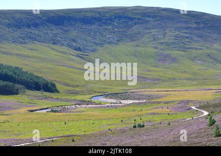 Die Cairngorm Mountains von der Rennstrecke Clais Fhearnaig in der Nähe von Braemar, Aberdeenshire, Schottland Stockfoto