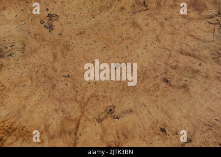 Schöne Textur des starken Holzes namens Ormosia Holz, Holz Textur Hintergrund. Stockfoto