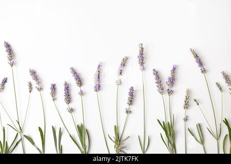 Floraler Hintergrund mit blühenden Lavendelspitzen auf weißem Tisch. Draufsicht. Horizontale Zusammensetzung. Stockfoto