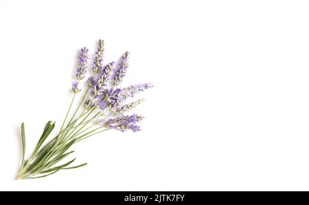 Hintergrund Bouquet von blühenden Lavendel Spitzen auf isolierten weißen Tisch. Draufsicht. Horizontale Zusammensetzung. Stockfoto