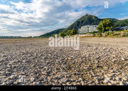 Der Rhein bei extrem niedrigem Wasserstand, bei Bad Honnef Rhöndorf, unterhalb des Drachenfels, Nonnenwerth-Insel, trocken gefallene Rheinufer, NRW, Deutschland, Stockfoto