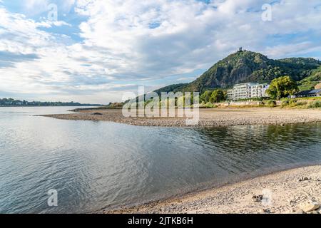 Der Rhein bei extrem niedrigem Wasserstand, bei Bad Honnef Rhöndorf, unterhalb des Drachenfels, Nonnenwerth-Insel, trocken gefallene Rheinufer, NRW, Deutschland, Stockfoto