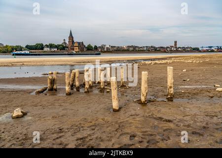 Rhein bei Emmerich, extrem niedriges Wasser, Rheinspiegel 0 cm, Tendenz fallend, NRW, Deutschland Stockfoto