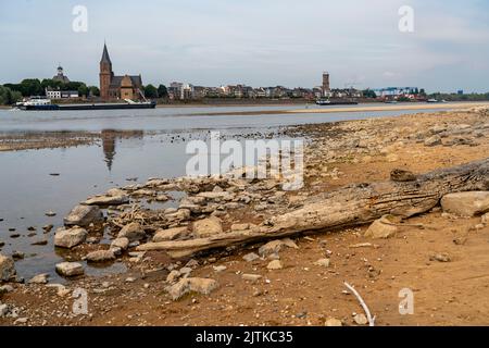 Rhein bei Emmerich, extrem niedriges Wasser, Rheinspiegel 0 cm, Tendenz fallend, NRW, Deutschland Stockfoto