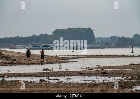 Rhein bei Emmerich, extrem niedriges Wasser, Rheinspiegel 0 cm, Tendenz fallend, NRW, Deutschland Stockfoto