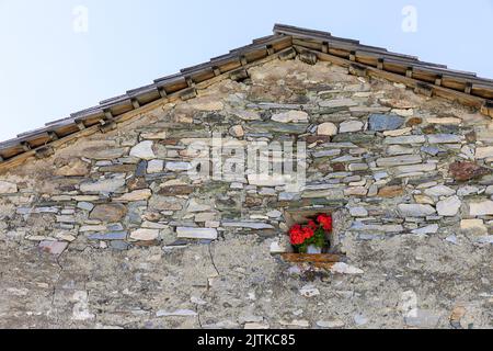 Steinmauer mit einem kleinen Fenster mit einer Blume eines traditionellen Steinhauses in einem Bergdorf Jagdhausalm, Nationalpark hohe tauern, österreich Stockfoto