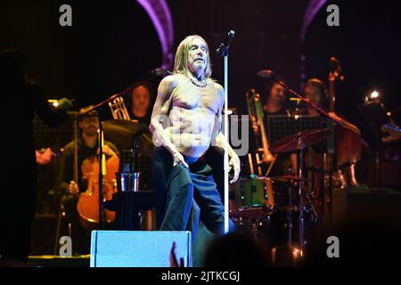 Mantova, Italien. 30. August 2022. Iggy Pop beim Auftritt im Palazzo Te während DES IGGY POP, Musikkonzert in Mantova, Italien, August 30 2022 Credit: Independent Photo Agency/Alamy Live News Stockfoto