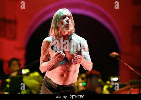 Mantova, Italien. 30. August 2022. Iggy Pop beim Auftritt im Palazzo Te während DES IGGY POP, Musikkonzert in Mantova, Italien, August 30 2022 Credit: Independent Photo Agency/Alamy Live News Stockfoto