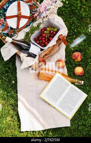 Picknickkorb, Essen, Getränke und Buch auf Gras Stockfoto