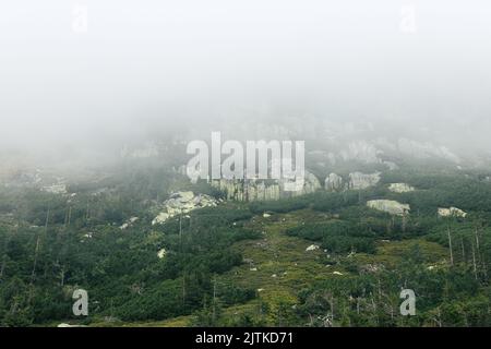 KARPACZ, POLEN - 20. AUGUST 2022: Karkonosze-Gebirge (Teil des Sudetengebirges), Berghang im Morgennebel Stockfoto