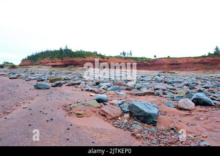 Die Oberfläche der Bay of Fundy, wie sie bei Ebbe im Burntcoat Head Park in Nova Scotia, Kanada, zu sehen ist. Stockfoto