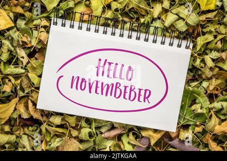 Hallo November fröhliche Grußnote - Handschrift in einem spiralförmigen Skizzenbuch vor dem Hintergrund von bunten trockenen Blättern Stockfoto