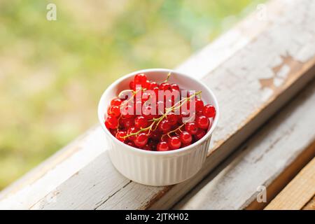 Rote Johannisbeeren mit Zweigen in einer weißen Glasschale auf einem weiß gealterten Fenstervorsprung des Dorfes. Gepflückte reife Beeren in natürlicher Umgebung. Weicher, selektiver Fokus. Stockfoto