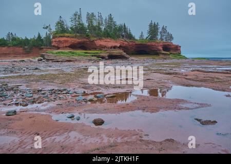 Die Oberfläche der Bay of Fundy, wie sie bei Ebbe im Burntcoat Head Park in Nova Scotia, Kanada, zu sehen ist. Stockfoto