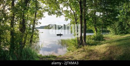 Ruhige Landschaft in freier Wildbahn - die Ufer des Sees Krivoe in Weißrussland Stockfoto