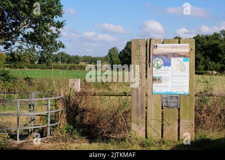 Loynton Moos Stockfoto