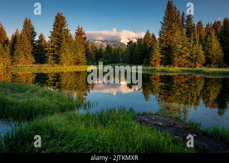 Eine Landschaftsansicht der Schwabacher Landing mit Waldbäumen auf dem Gewässer reflektiert Stockfoto