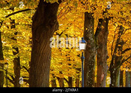 Herbst und Laub im Park. Vintage Straßenlampen zwischen herbstlichen Blättern Stockfoto