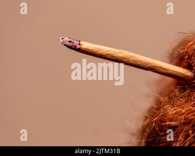 Mann mit rotem Bart raucht ein Gelenk. Stockfoto