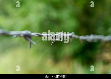Ein Stacheldrahtzaun schützt die dahinter liegenden Felder in England Stockfoto