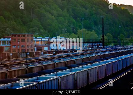 Die mit Kohle gefüllten Autos der Norfolk Southern Railway sind auf dem Williamson-Eisenbahnhof am 28. April 2010 in Williamson, West Virginia, abgebildet. Stockfoto