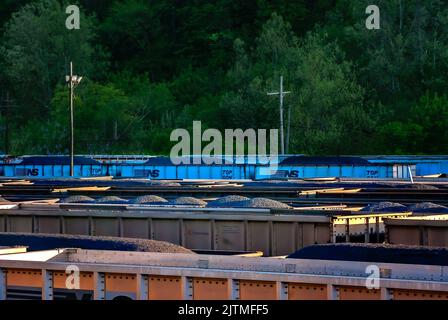 Die mit Kohle gefüllten Autos der Norfolk Southern Railway sind auf dem Williamson-Eisenbahnhof am 28. April 2010 in Williamson, West Virginia, abgebildet. Stockfoto