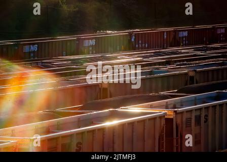 Die mit Kohle gefüllten Autos der Norfolk Southern Railway sind auf dem Williamson-Eisenbahnhof am 28. April 2010 in Williamson, West Virginia, abgebildet. Stockfoto