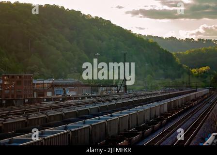 Die mit Kohle gefüllten Autos der Norfolk Southern Railway sind auf dem Williamson-Eisenbahnhof am 28. April 2010 in Williamson, West Virginia, abgebildet. Stockfoto