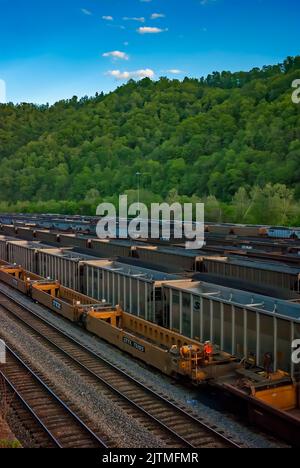 Die mit Kohle gefüllten Autos der Norfolk Southern Railway sind auf dem Williamson-Eisenbahnhof am 28. April 2010 in Williamson, West Virginia, abgebildet. Stockfoto