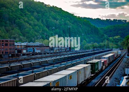 Die mit Kohle gefüllten Autos der Norfolk Southern Railway sind auf dem Williamson-Eisenbahnhof am 28. April 2010 in Williamson, West Virginia, abgebildet. Stockfoto