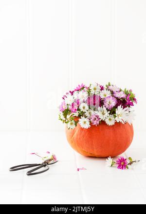 Einfache handgemachte Dekoration für Thanksgiving Day. Schöne Blumenarrangement mit bunten Astern Blumen in einer Kürbis Vase. Stockfoto