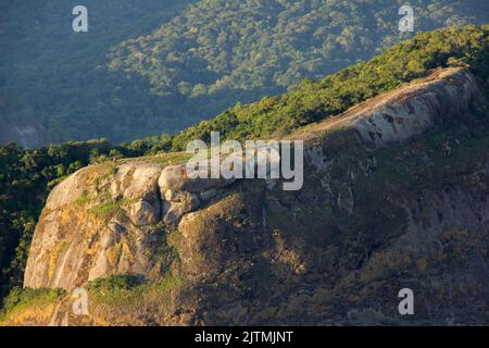 Blick von der Spitze des schönen Felsen ( pedra bonita ) in Rio de Janeiro Brasilien. Stockfoto