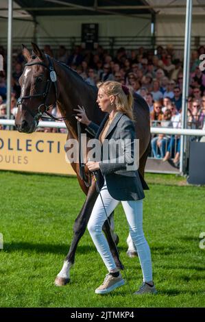 Stamford, Großbritannien. 31. August 2022. Alice Casburn und Topspin vertreten Großbritannien während der ersten Pferdeuntersuchung bei den Land Rover Burghley Horse Trials 2022, die auf dem Gelände des Burghley House in Stamford, Lincolnshire, England, Großbritannien, abgehalten wurden. Quelle: Jonathan Clarke/Alamy Live News Stockfoto