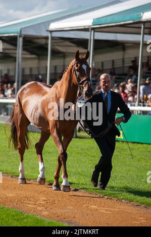 Stamford, Großbritannien. 31. August 2022. Tim Price und Bango vertreten Neuseeland während der ersten Pferdeuntersuchung bei den Land Rover Burghley Horse Trials 2022, die auf dem Gelände des Burghley House in Stamford, Lincolnshire, England, Großbritannien, abgehalten wurden. Quelle: Jonathan Clarke/Alamy Live News Stockfoto