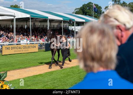 Stamford, Großbritannien. 31. August 2022. Jonelle Price und Classic Moet vertreten Neuseeland während der ersten Pferdebesichtigung bei den Land Rover Burghley Horse Trials 2022, die auf dem Gelände des Burghley House in Stamford, Lincolnshire, England, Großbritannien, abgehalten wurden. Quelle: Jonathan Clarke/Alamy Live News Stockfoto