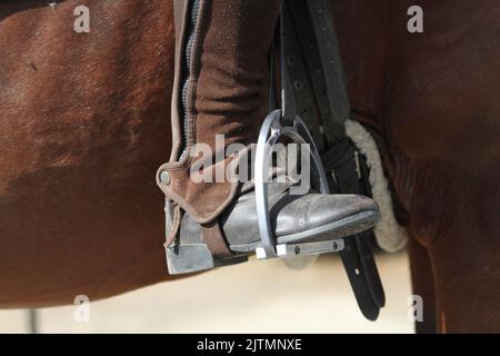 Nahaufnahme des Reiterbeins im Steigbügel. Reiten Stockfoto