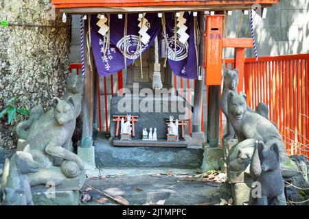 Ein Geistshrrein oder Shintai, bewacht vom fuchsgott Inari im Mimeguri-Jinja-Schrein, in Sumida City, Tokio, Japan. Der Schrein im Gongen-Zukuri-Stil ist eng mit dem Mitsui-Clan, den Gründern des Kaufhauses Mitsukoshi, verbunden. Stockfoto