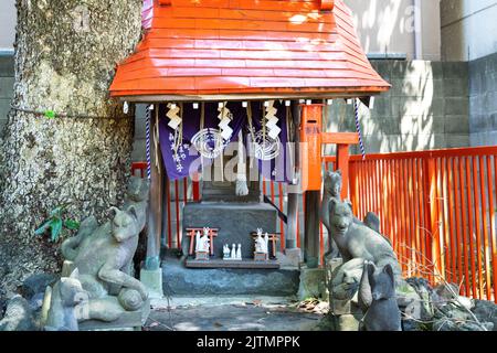 Ein Geistshrrein oder Shintai, bewacht vom fuchsgott Inari im Mimeguri-Jinja-Schrein, in Sumida City, Tokio, Japan. Der Schrein im Gongen-Zukuri-Stil ist eng mit dem Mitsui-Clan, den Gründern des Kaufhauses Mitsukoshi, verbunden. Stockfoto