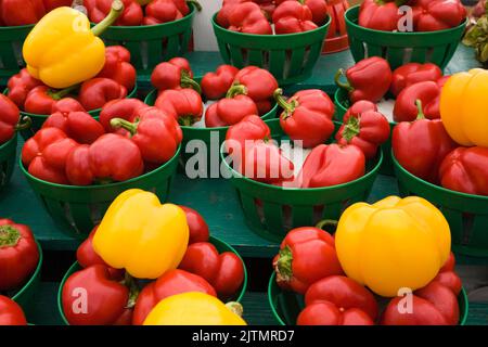 Grüne Kunststoffkörbe gefüllt mit rotem und gelbem Capsicum annuum - Bell Peppers zum Verkauf auf dem Markt im Freien. Stockfoto