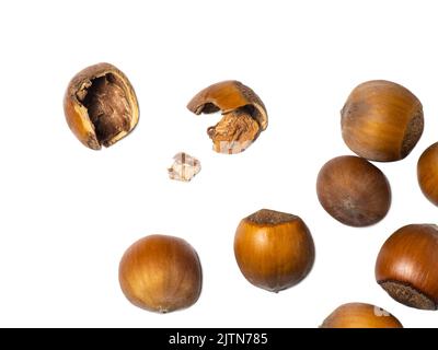 Haselnüsse auf weißem Hintergrund. Nüsse in einer Schale. Snack. Gesunde Ernährung. Zutaten für die Zubereitung eines gesunden Mittagessens. Gebrochene Walnuss. Stockfoto