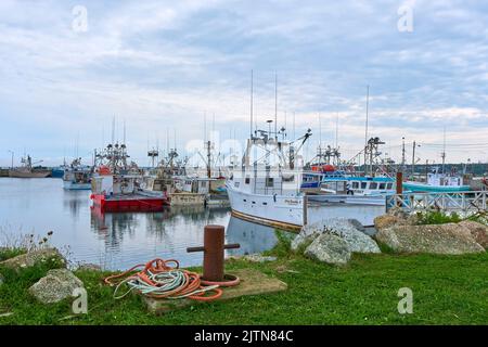 Zahlreiche Boote werden am Kai im Fischerdorf Meteghan Nova Scotia vertäut. Stockfoto