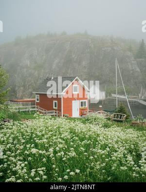 Rotes Haus und Blick auf Quidi Vidi Harbour, St. Johns, Neufundland und Labrador, Kanada Stockfoto
