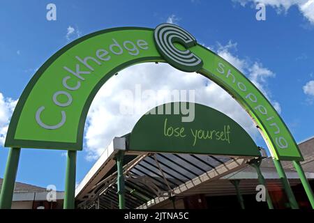 Eingang zum Cockhedge Einkaufszentrum, Warrington Town Center, Asda, Slogan: Lose Yourself, Ceshire, England, UK Stockfoto