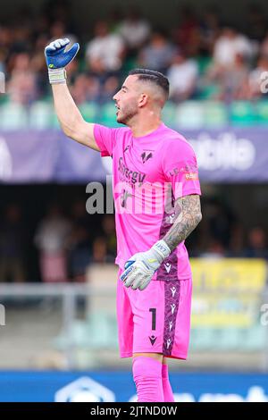 Foto StefanoNicoli/LaPresse 28 Agosto 2022 - Verona, Italia - Sport, calcio - Hellas Verona vs Atalanta - Campionato italiano di calcio Serie A Tim 2022/2023 - Stadio Marcantonio Bentegodi. Nella foto: Lorenzo Montipo' August 28, 2022 Verona, Italien - Sport, calcio - Hellas Verona vs Atalanta - Italienische Serie A Fußballmeisterschaft 2022/2023 - Marcantonio Bentegodi Stadion. Auf dem Bild: Lorenzo Montipo' Stockfoto