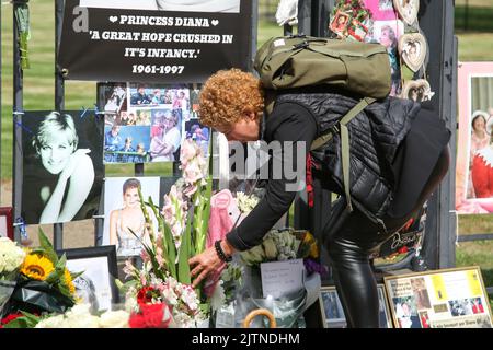 London, Großbritannien. 31. August 2022. Ein Wohlhabender legt Blumen vor dem Kensington Palace in London zum 25.. Todestag von Diana, Prinzessin von Wales, die in den frühen Morgenstunden des 31. August 1997 nach einem tödlichen Autounfall im Tunnel Pont de l'Alma im Krankenhaus Pitie-Salpetriere in Paris starb. Kredit: SOPA Images Limited/Alamy Live Nachrichten Stockfoto