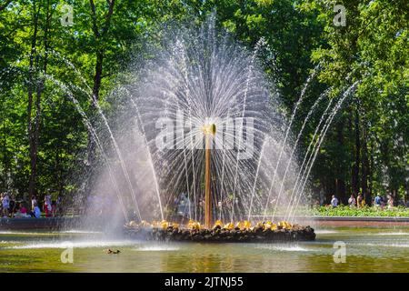 Brunnensonne im unteren Park des Peterhof an hellen sonnigen Tag, St. Petersburg. Rotierender Brunnen Sonne in der Mitte des Teiches mit Enten, selektiver Fokus, Landm Stockfoto