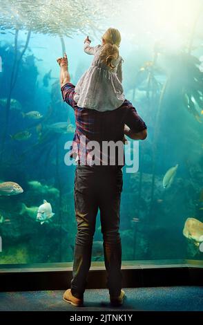 Die Wunder der Unterwasserwelt. Ein Vater und seine kleine Tochter betrachten eine Ausstellung in einem Aquarium. Stockfoto