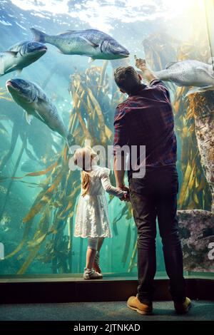 Ein Vater und seine kleine Tochter betrachten eine Ausstellung in einem Aquarium. Stockfoto