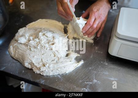 Der Prozess der Brotherstellung. Den Weizenteig in Stücke teilen. Vorderansicht. Stockfoto