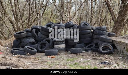 Dump von alten gebrauchten Auto Gummireifen im Frühlingswald Stockfoto